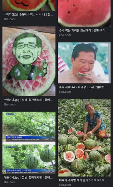 파일:Watermelone ilbe use.jpg