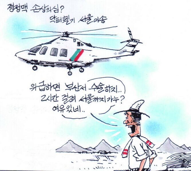 파일:Jugular Vein Injury? Helicopter Transfer to Seoul.jpg